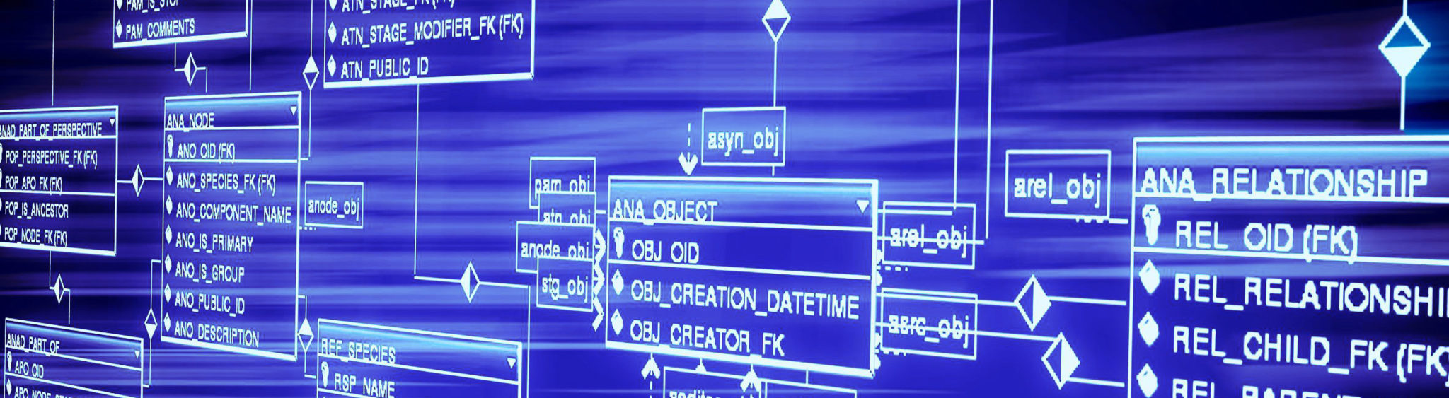 simulation for business process reengineering case study of a database management system simulation for business process reengineering case study of a database management system
