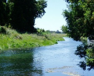 A calm river flows between grassy, green banks with tall trees on both sides under a clear blue sky.