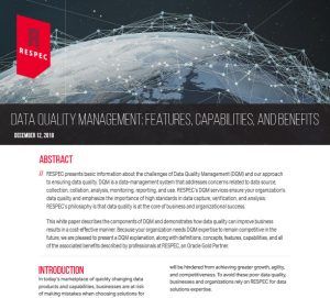 A document titled Data Quality Management: Features, Capabilities, and Benefits by RESPEC, featuring an abstract and introduction about data management challenges, benefits, and services, with a red geometric design and RESPEC logo.