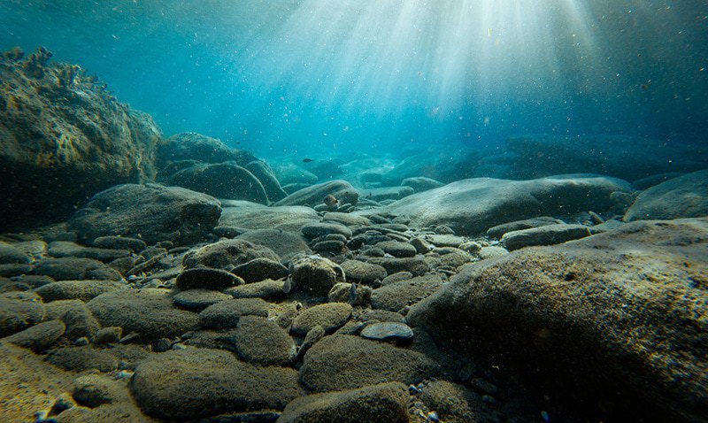 Water and Wastewater