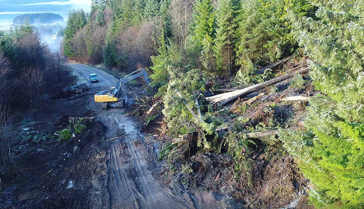 A construction vehicle clears fallen trees and debris from a muddy, forested roadside while a car drives by on the adjacent road. The scene is surrounded by dense green trees.