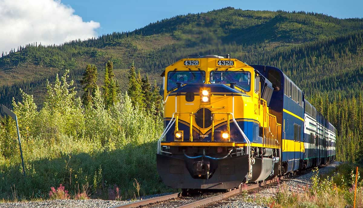 A bright yellow and blue train travels along railroad tracks through a lush, green forest with mountains in the background under a partly cloudy sky.
