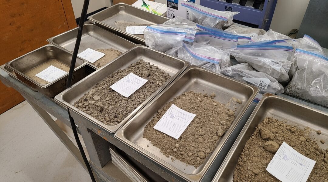 Several metal trays filled with soil samples and labeled papers are arranged on a cart. Plastic bags of additional soil samples are on the upper shelf in a laboratory setting.