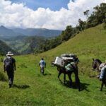 Three people, two on horseback and one walking, travel through a lush green valley surrounded by hills and mountains under a partly cloudy sky. The horses are carrying supplies.