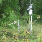 A weather monitoring station with a solar panel stands in a green, overgrown wetland area surrounded by trees and tall grass, with some water and scattered vegetation visible on the ground.