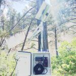 A weatherproof monitoring box with cables and electronics is mounted on a pole beside a tall tree in a sunlit forest. Above it, a solar panel is attached, surrounded by green vegetation and pine trees.
