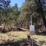 A white weather monitoring station stands on a metal pole in a grassy, sunlit forest clearing surrounded by pine trees under a clear blue sky.