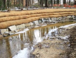 Dead Run Stream Restoration
Image for Dead Run Stream Restoration