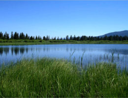 Snake River Gravel Pit Reclamation
Image for Snake River Gravel Pit Reclamation