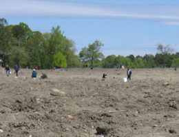 Crater of Diamonds
Image for Crater of Diamonds