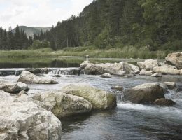 Water & Environment
Stormwater Management, Drainage Analyses, Channel Restoration Design and Construction