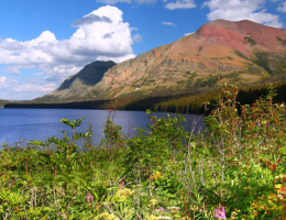 RESPEC Welcomes Montana Talent
Montana Scenery