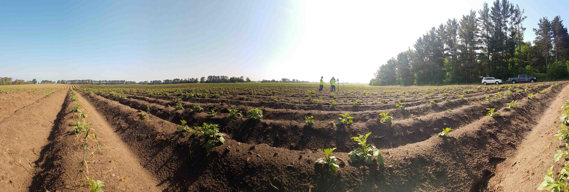 Image for RESPEC Tests “Farmers Friend,” New Soil Moisture Sensor