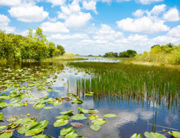 US and Canada Trust RESPEC Water Science
Image for US and Canada Trust RESPEC Water Science