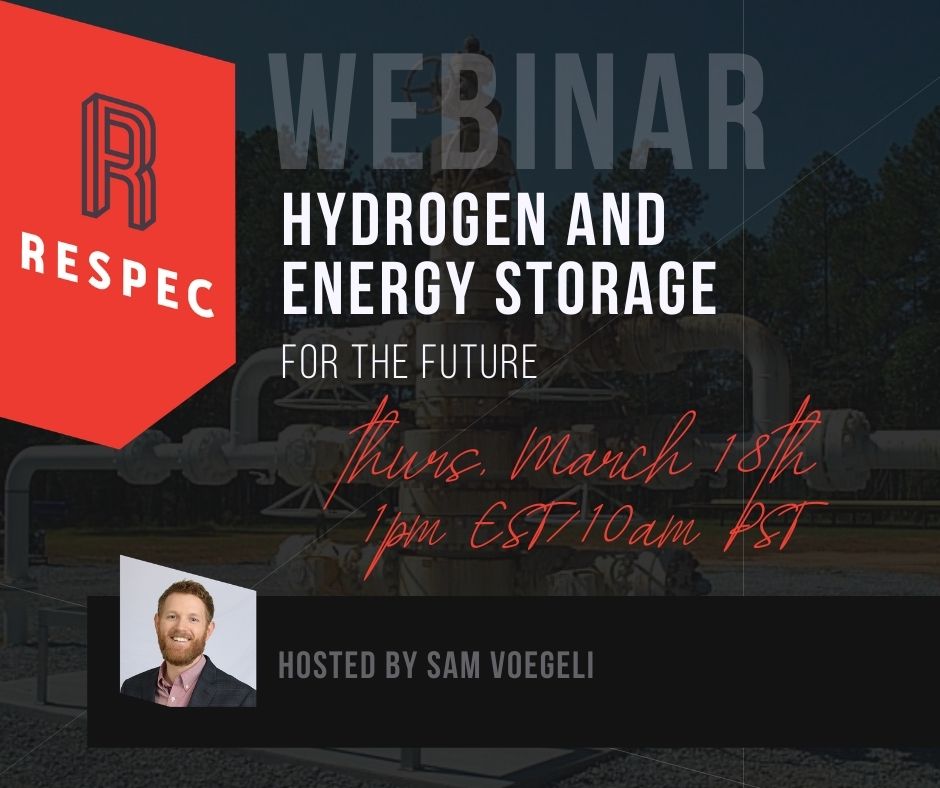 Hydrogen and Energy Storage for the Future