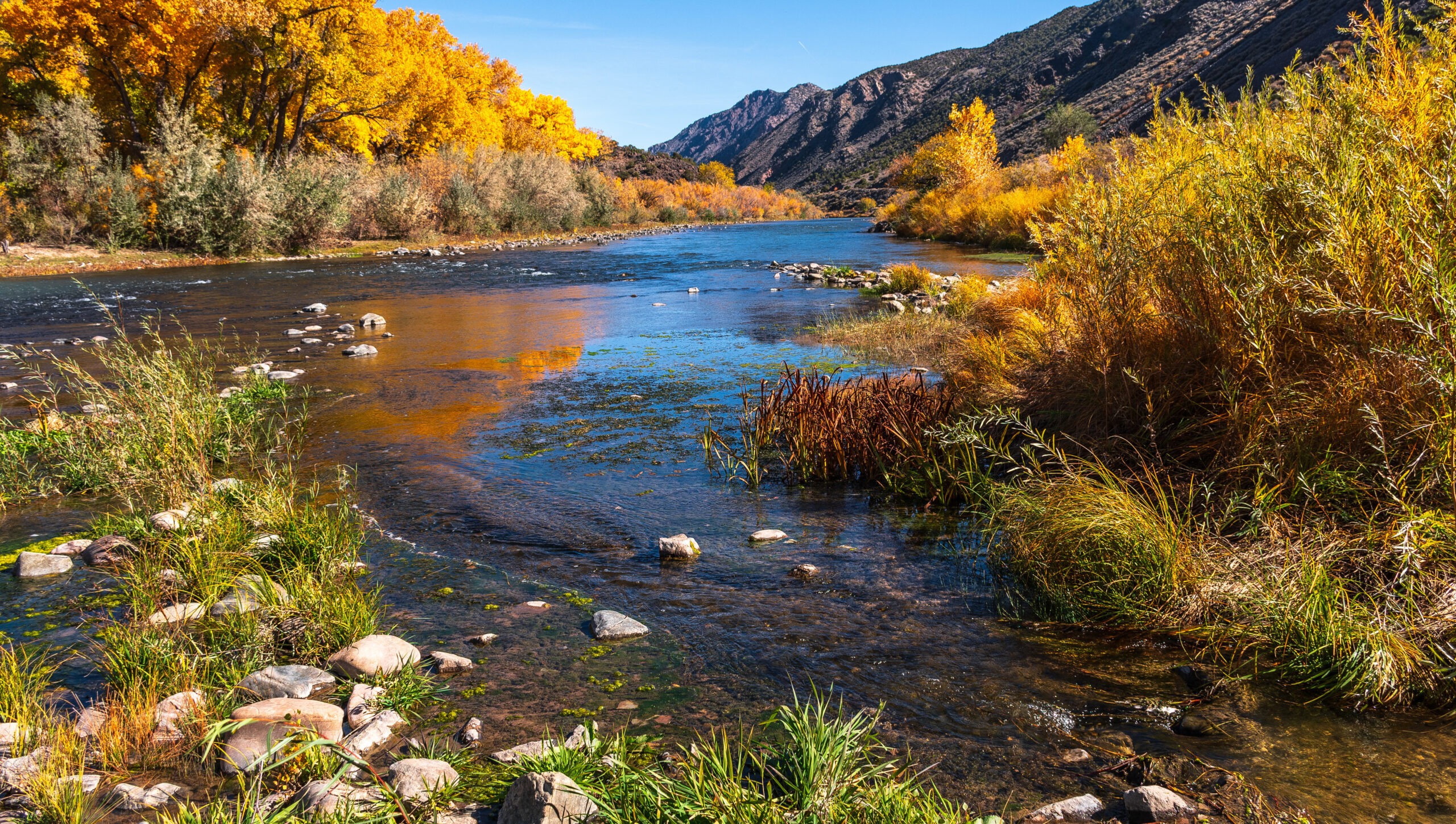 What New Mexico’s Water Data Catalog Reveals About System Usability